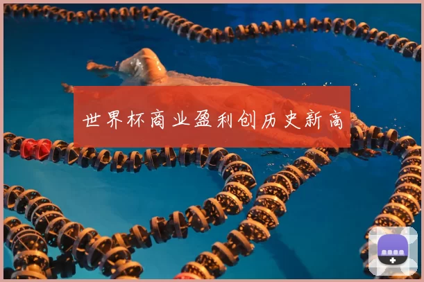 世界杯商业盈利创历史新高