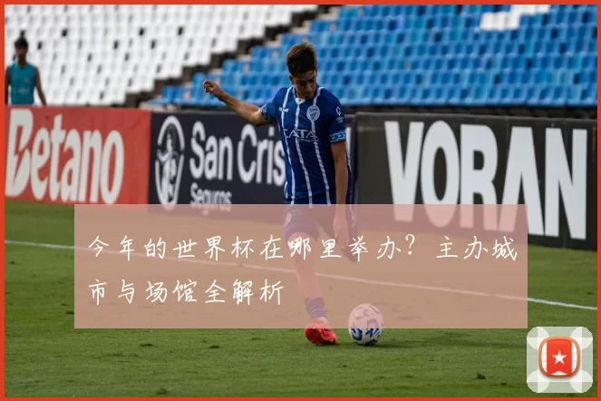 今年的世界杯在哪里举办？主办城市与场馆全解析