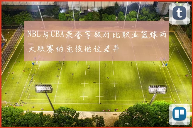 NBL与CBA荣誉等级对比职业篮球两大联赛的竞技地位差异
