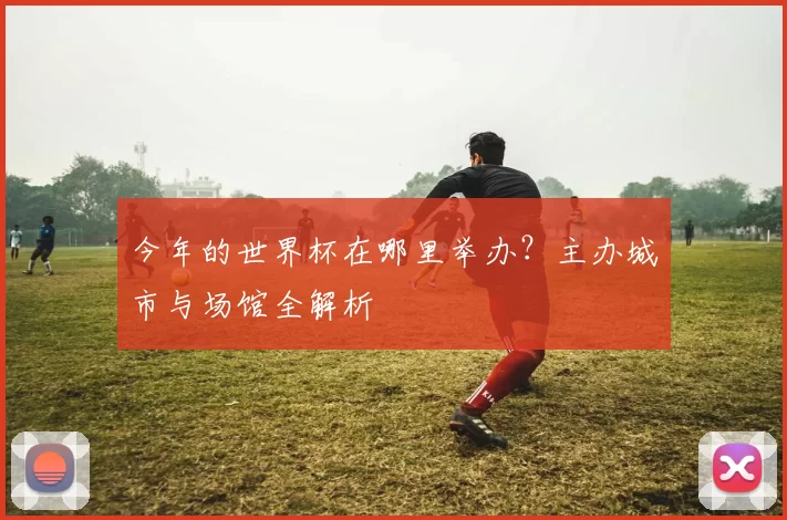 今年的世界杯在哪里举办?主办城市与场馆全解析