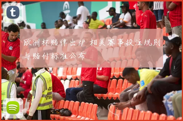 欧洲杯赔律出炉 相关赛事投注规则与赔付标准公布