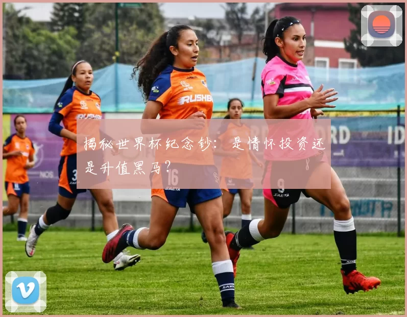 揭秘世界杯纪念钞：是情怀投资还是升值黑马？