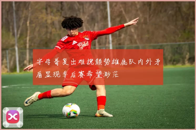 字母哥复出难挽颓势雄鹿队内外矛盾显现季后赛希望渺茫
