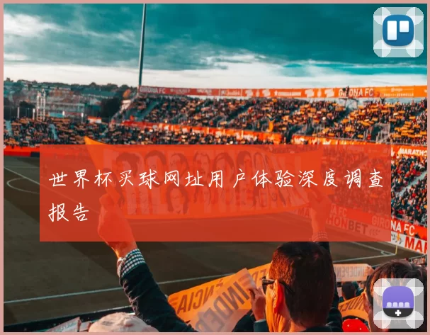 世界杯买球网址用户体验深度调查报告