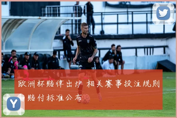欧洲杯赔律出炉 相关赛事投注规则与赔付标准公布