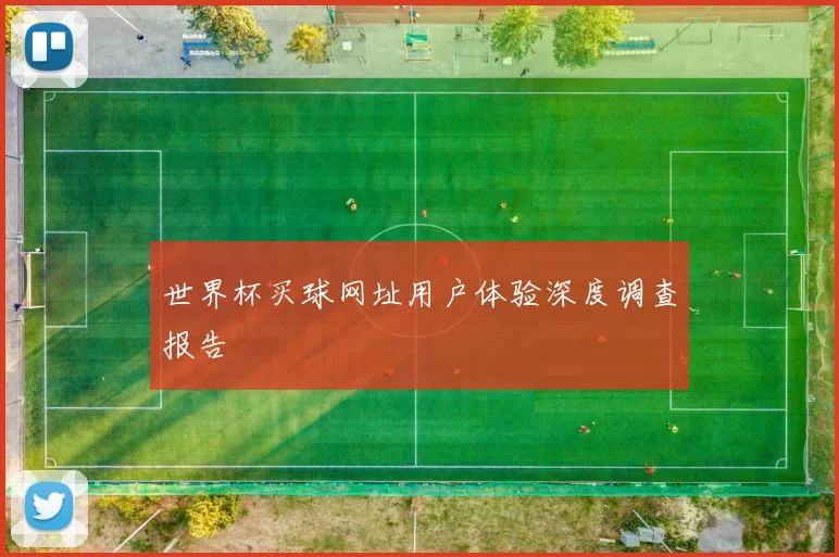 世界杯买球网址用户体验深度调查报告