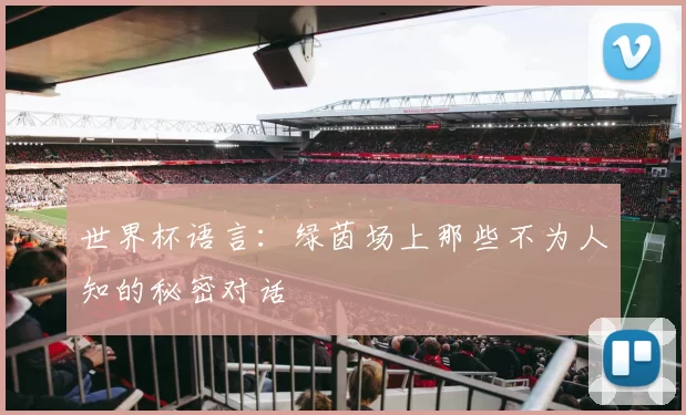 世界杯语言:绿茵场上那些不为人知的秘密对话