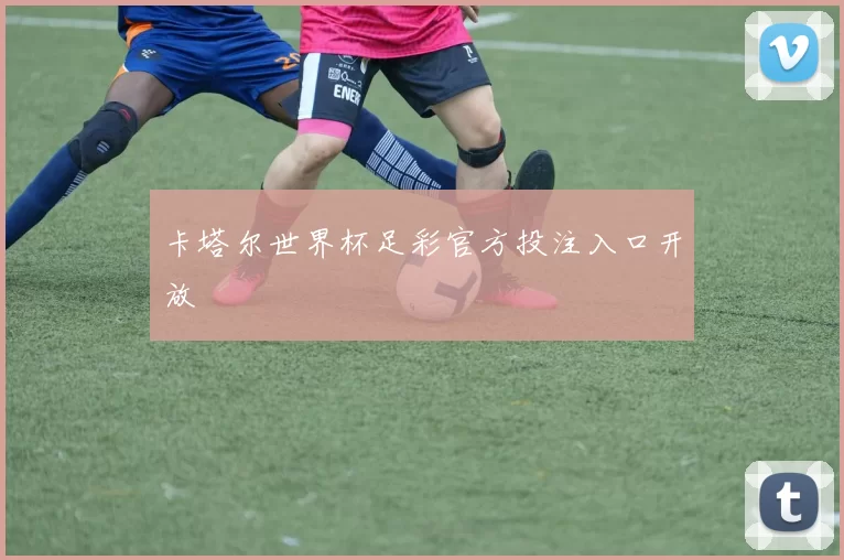 卡塔尔世界杯足彩官方投注入口开放