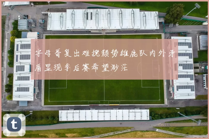字母哥复出难挽颓势雄鹿队内外矛盾显现季后赛希望渺茫