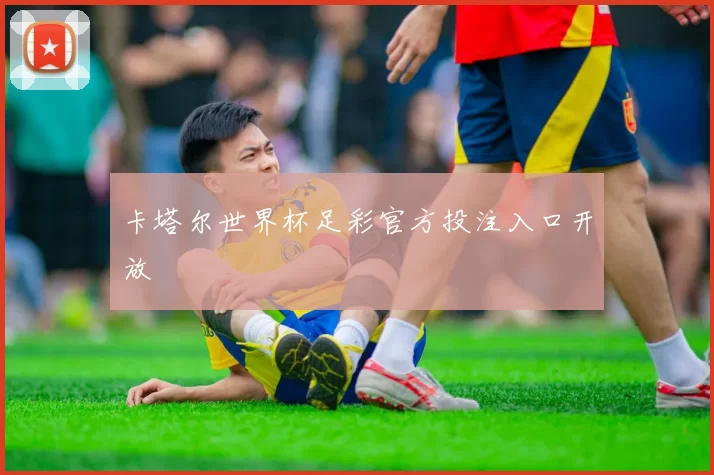 卡塔尔世界杯足彩官方投注入口开放